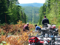 Workers of the Commission doing monument maintenance on the Southwest/South Line